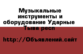 Музыкальные инструменты и оборудование Ударные. Тыва респ.